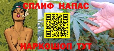 гидра Новокубанск