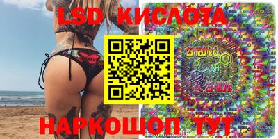 сатива Новозыбков