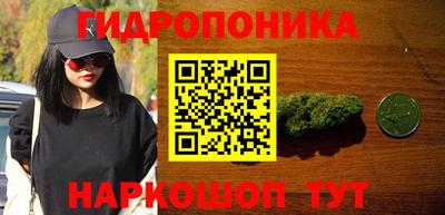 гидра Новокубанск