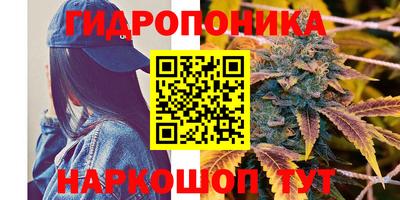гидра Наро-Фоминск