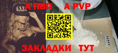 сатива Новозыбков