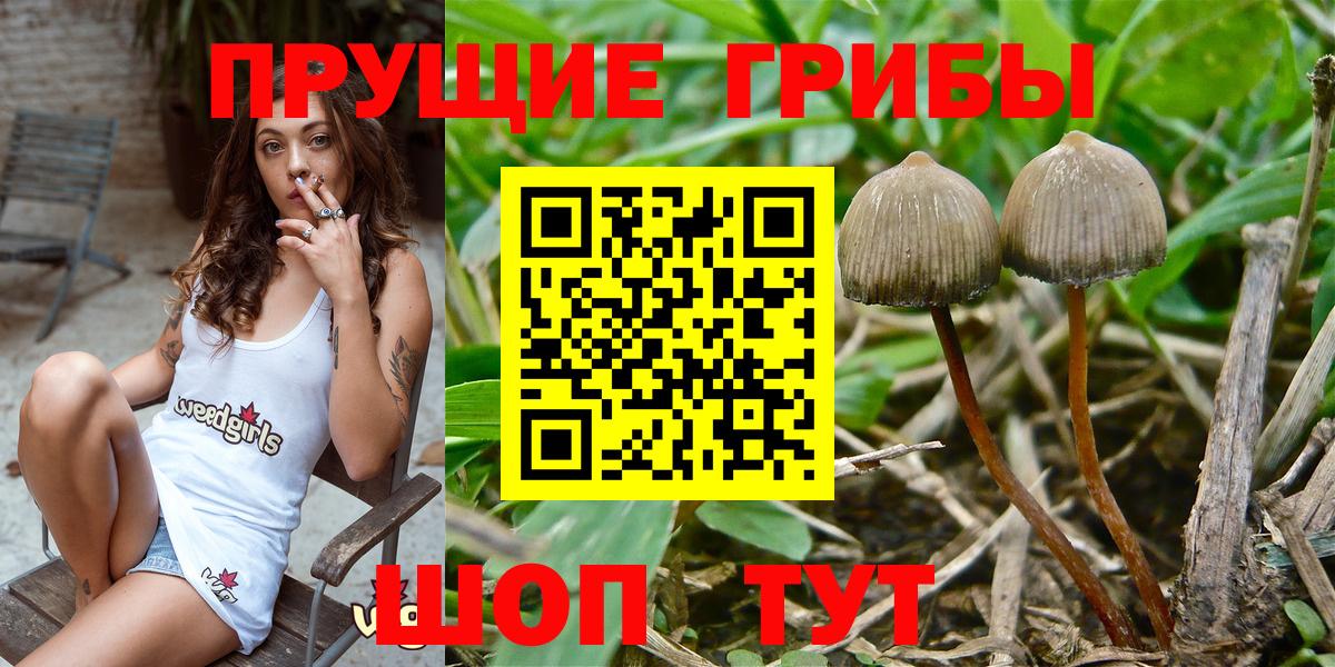 Галлюциногенные грибы MAGIC MUSHROOMS Советск