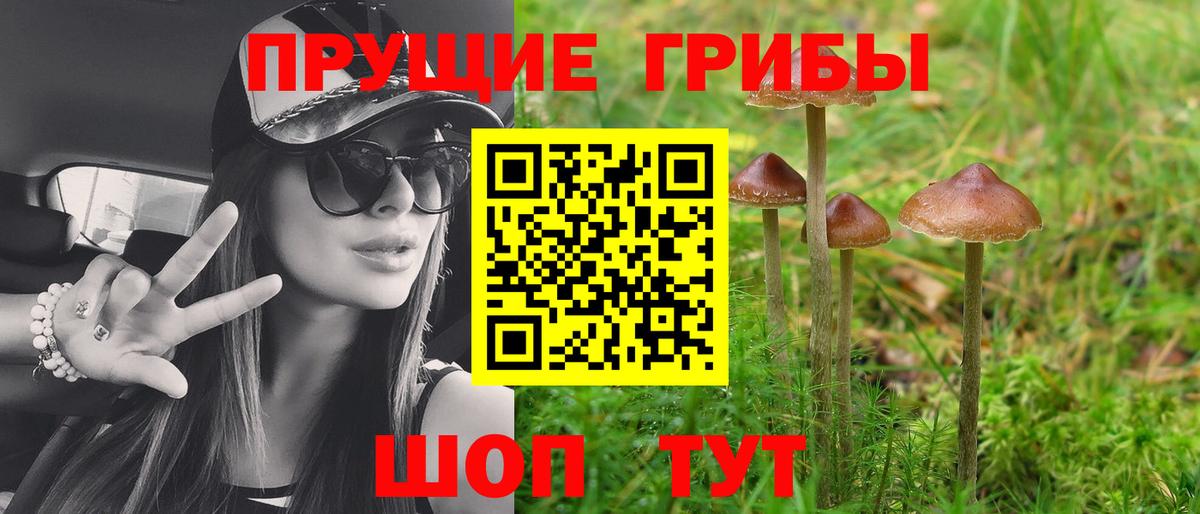 Галлюциногенные грибы мицелий  Вход с VPN  Советск 